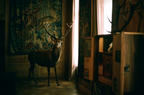 6146835207_0270ba84d0_b