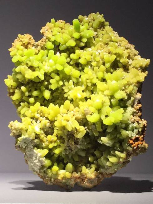 12540432_10154517893801038_246701158_n