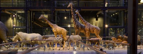 caravane_grande_galerie