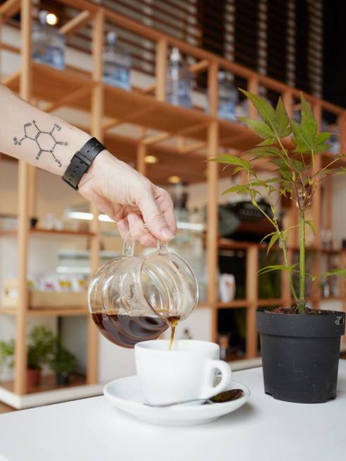 1507633_1469690746577804_1291842030_n