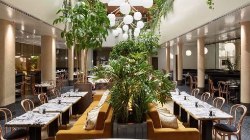 brasserie-l-alcazar-a-paris_5541989