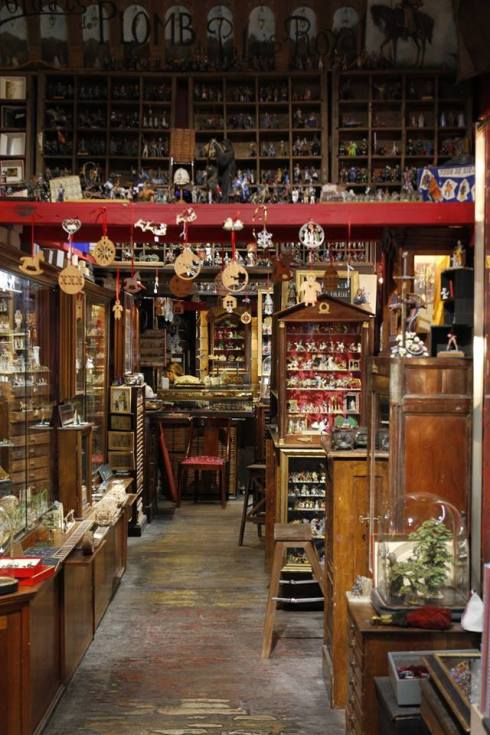 19601427_1558155860925859_916988283323403693_n