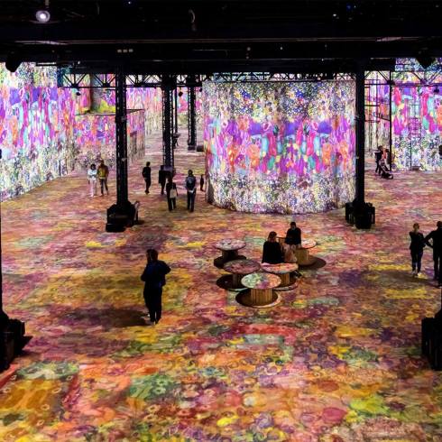 31351386_1948426125170570_8208967578345799680_n